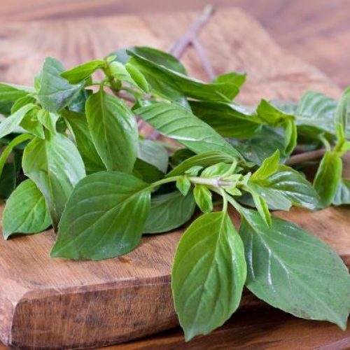 Sweet Thai Basil