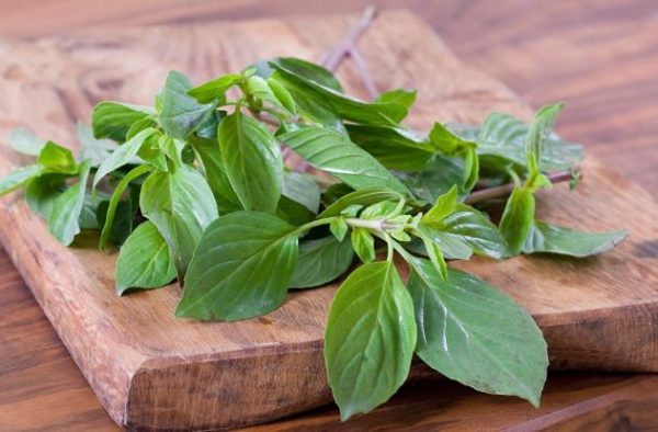 Sweet Thai Basil